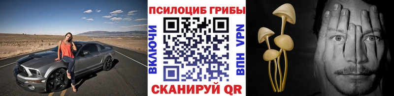 KRAKEN вход  Пущино  Галлюциногенные грибы мицелий 